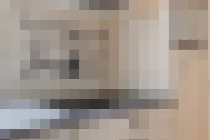 't Haantje 62 b 't Haantje thumbnail 32