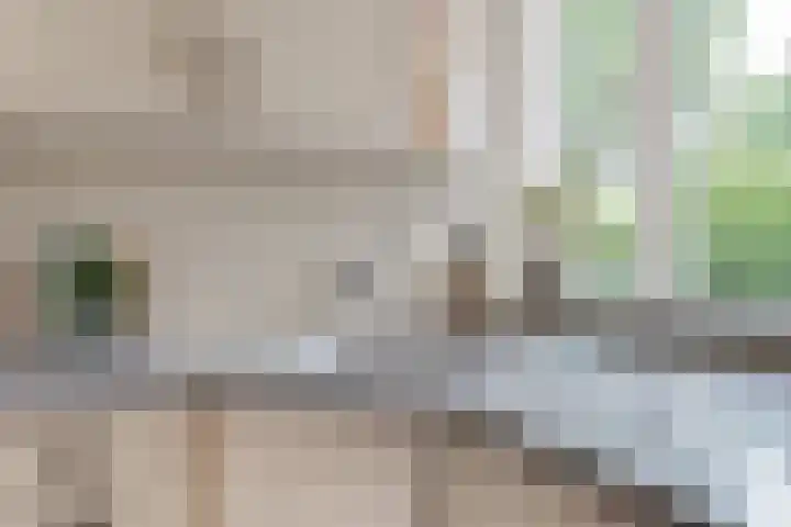 't Haantje 62 b 't Haantje thumbnail 33