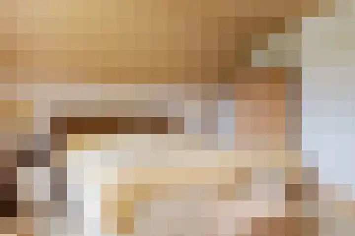 't Haantje 62 b 't Haantje thumbnail 41