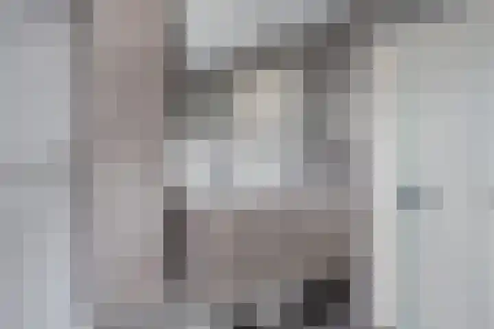't Haantje 62 b 't Haantje thumbnail 44