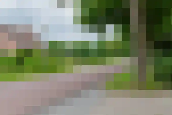 't Haantje 62 b 't Haantje thumbnail 5