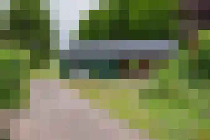 't Haantje 62 b 't Haantje thumbnail 51