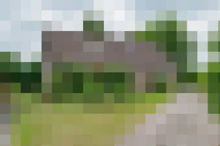 't Haantje 62 b 't Haantje thumbnail 52