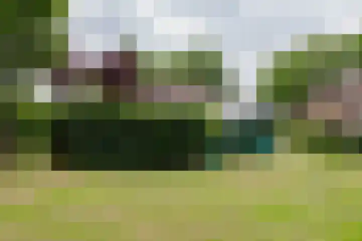 't Haantje 62 b 't Haantje thumbnail 53