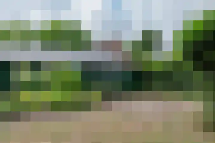't Haantje 62 b 't Haantje thumbnail 54