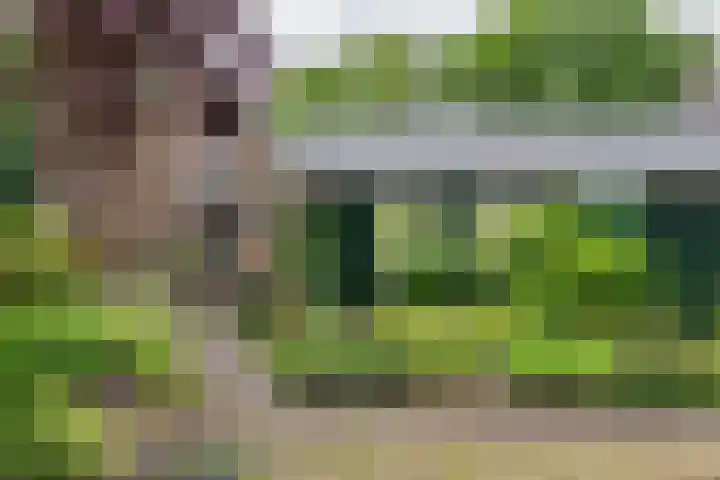 't Haantje 62 b 't Haantje thumbnail 55