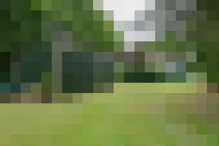 't Haantje 62 b 't Haantje thumbnail 58