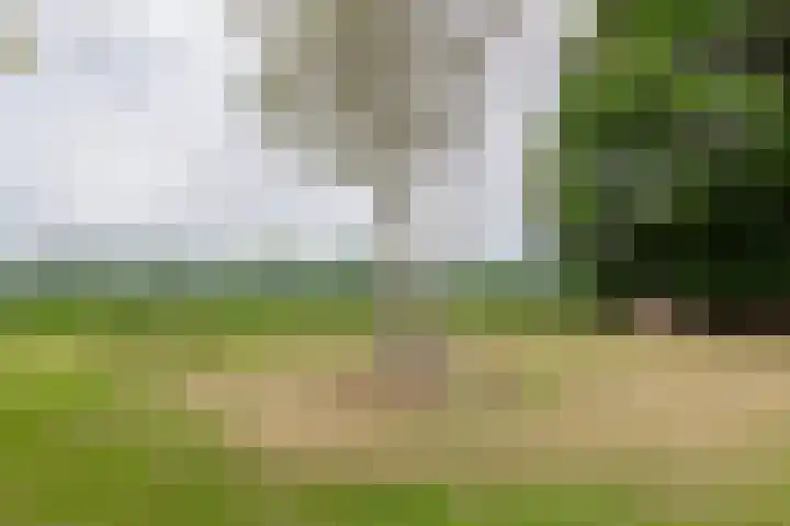 't Haantje 62 b 't Haantje thumbnail 59