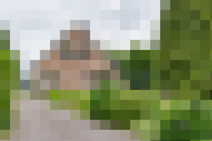 't Haantje 62 b 't Haantje thumbnail 6