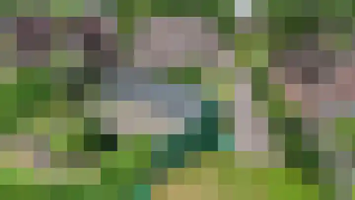 't Haantje 62 b 't Haantje thumbnail 60