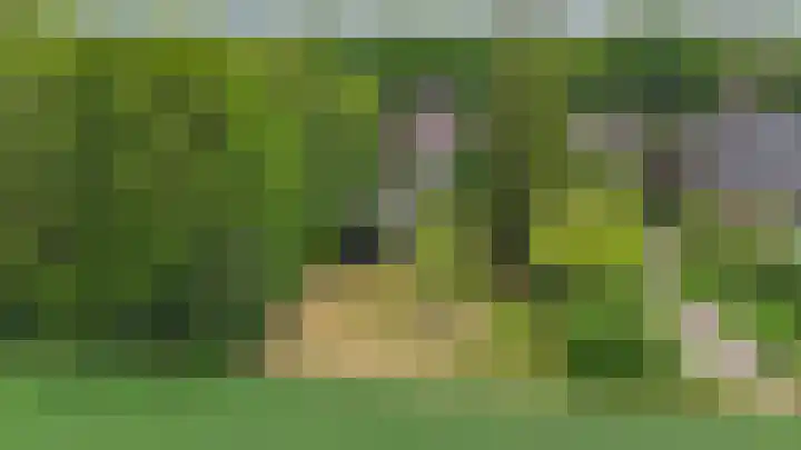 't Haantje 62 b 't Haantje thumbnail 61
