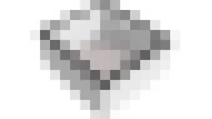 't Haantje 62 b 't Haantje thumbnail 67