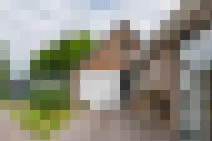 't Haantje 62 b 't Haantje thumbnail 8