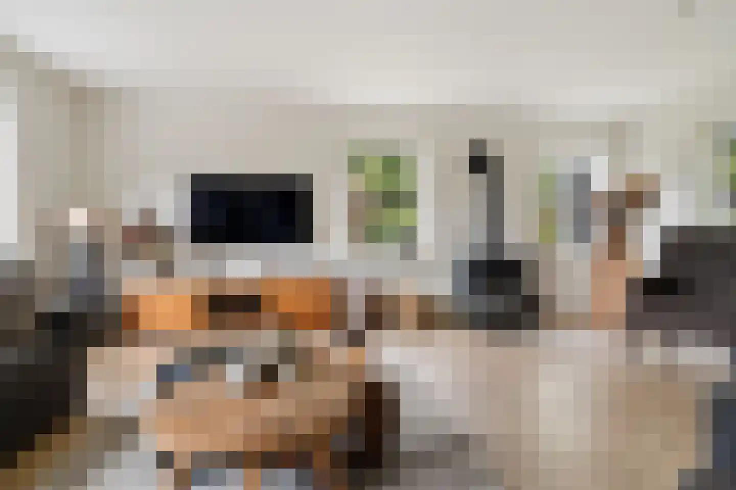 't Haantje 63 't Haantje thumbnail 11