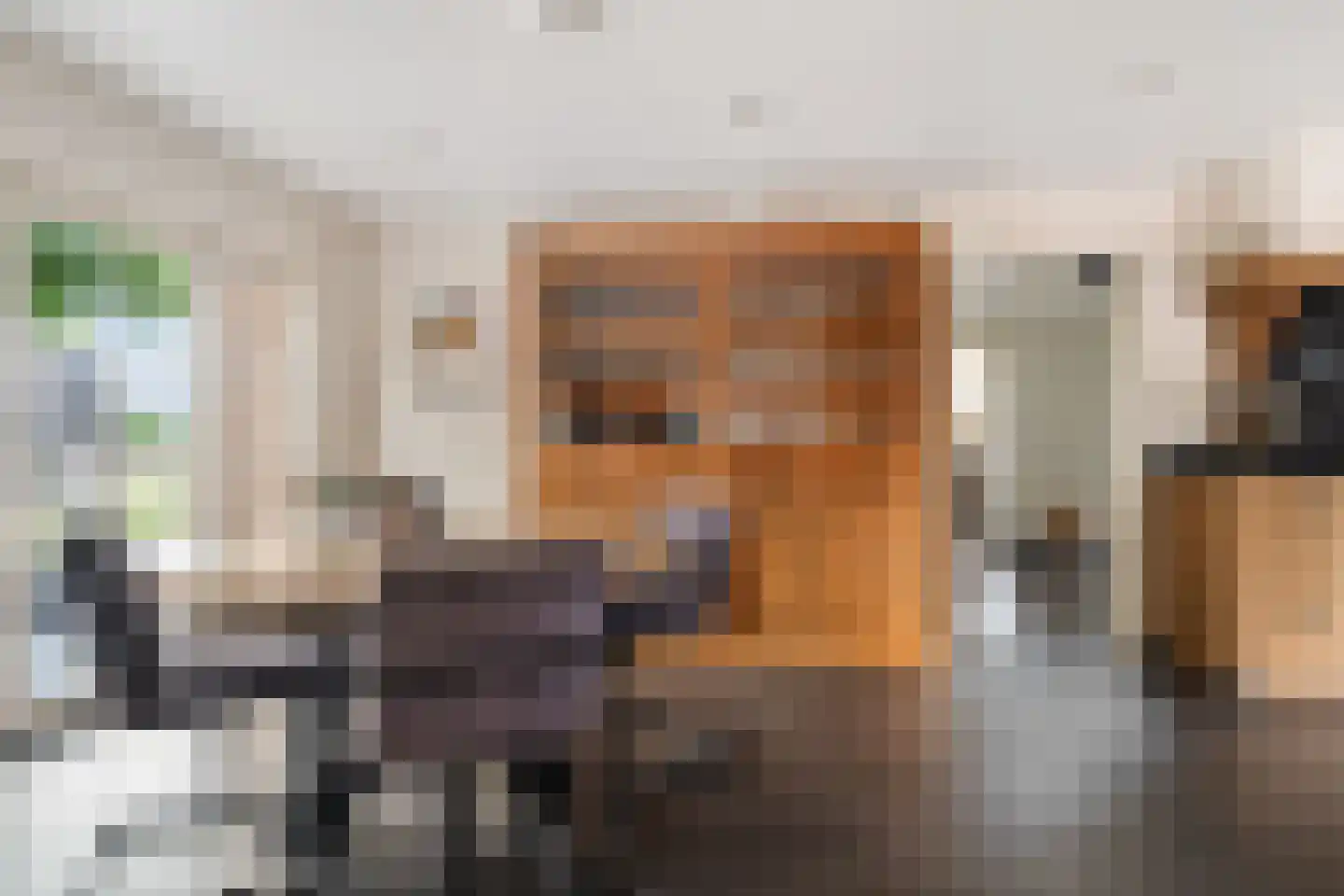 't Haantje 63 't Haantje thumbnail 15