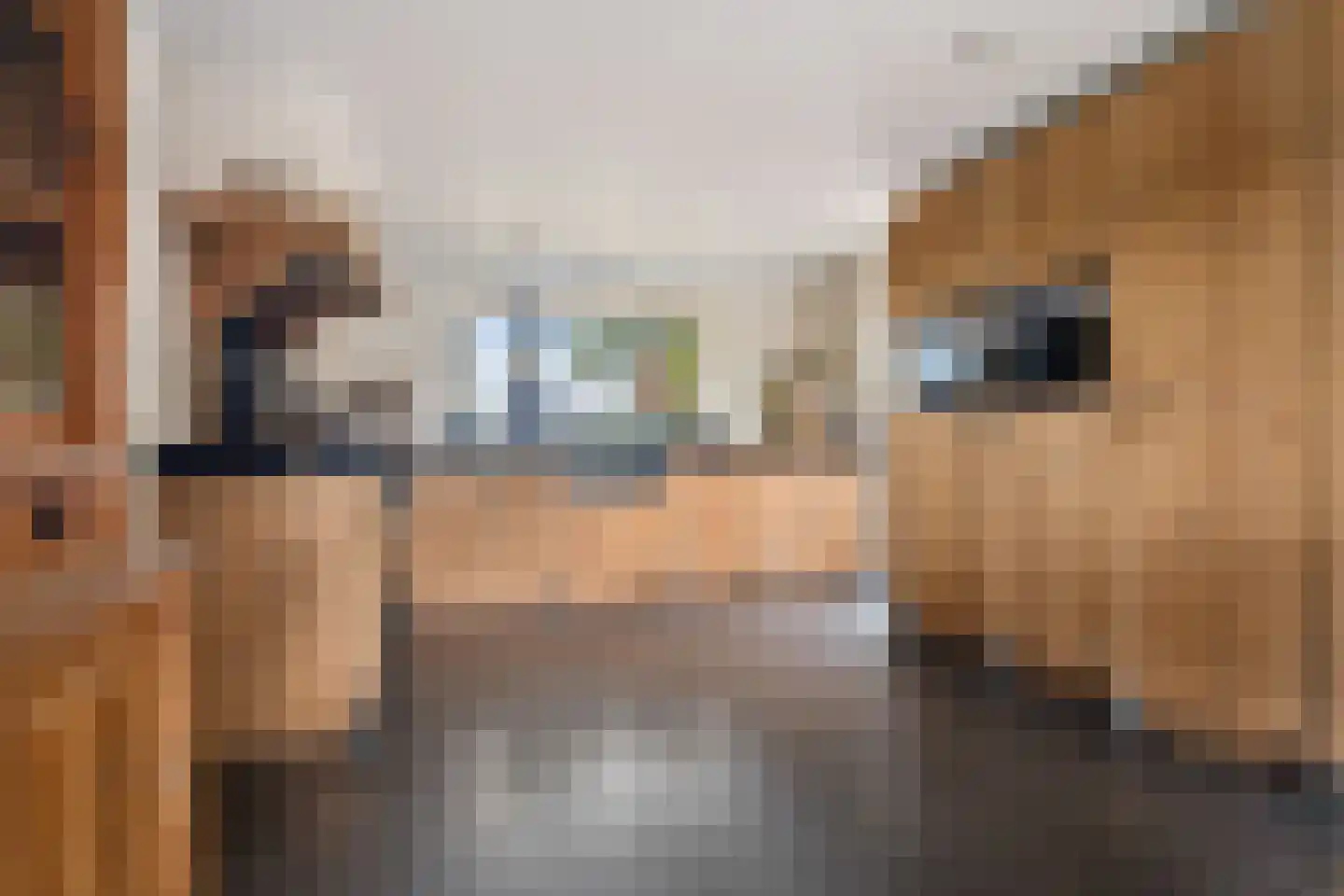 't Haantje 63 't Haantje thumbnail 16