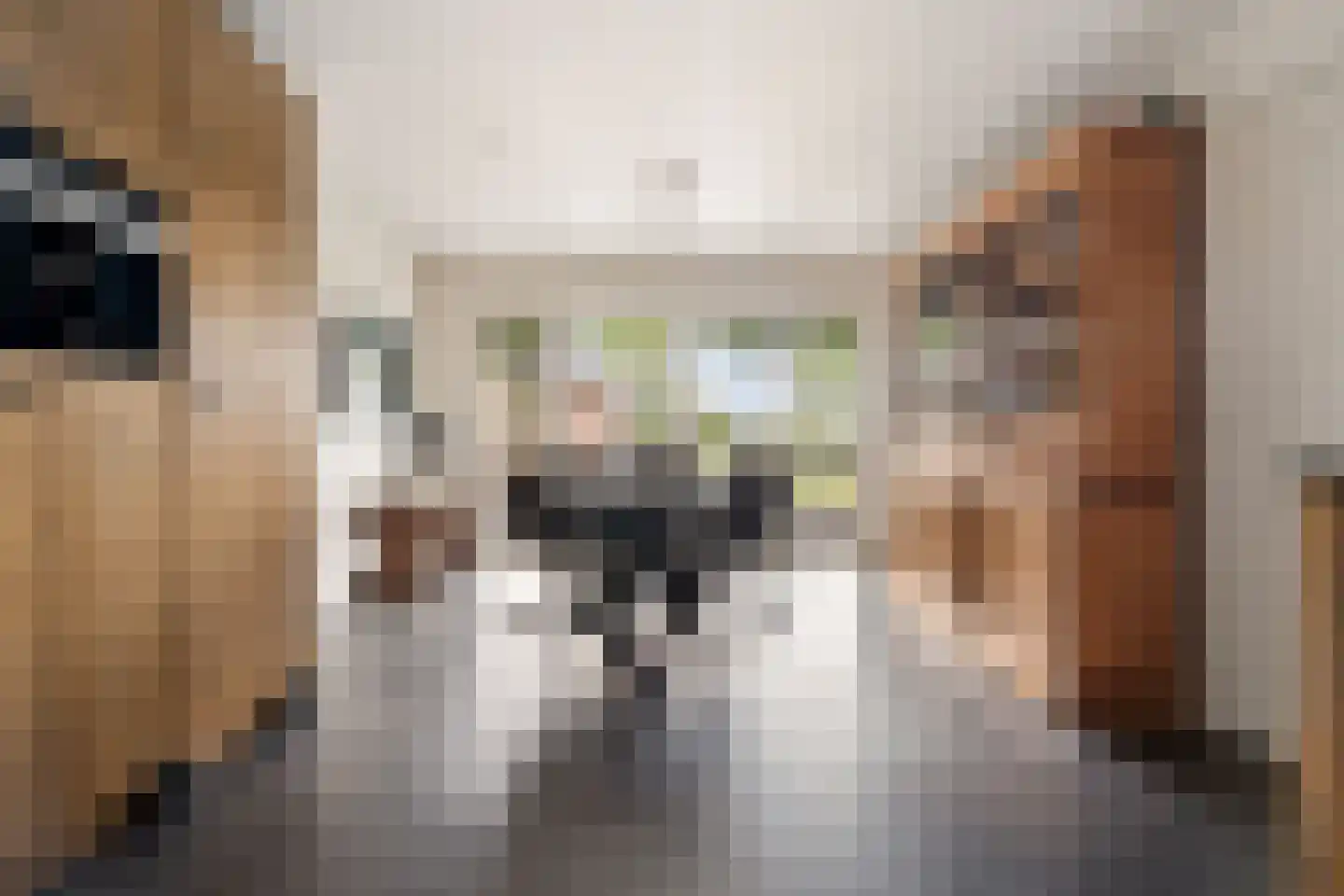 't Haantje 63 't Haantje thumbnail 17