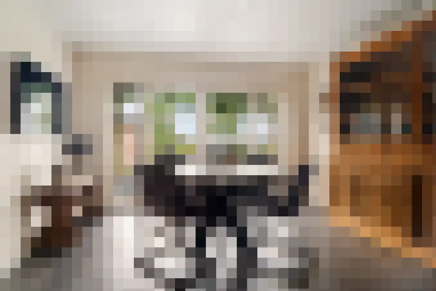 't Haantje 63 't Haantje thumbnail 20