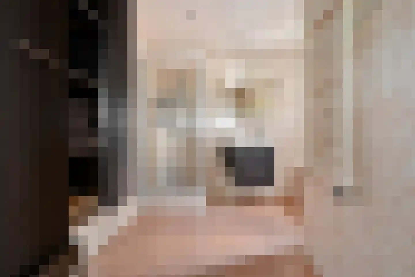 't Haantje 63 't Haantje thumbnail 24