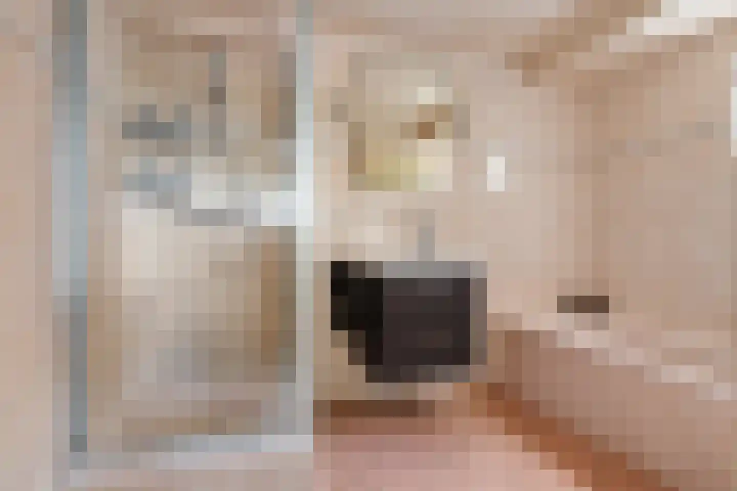 't Haantje 63 't Haantje thumbnail 25