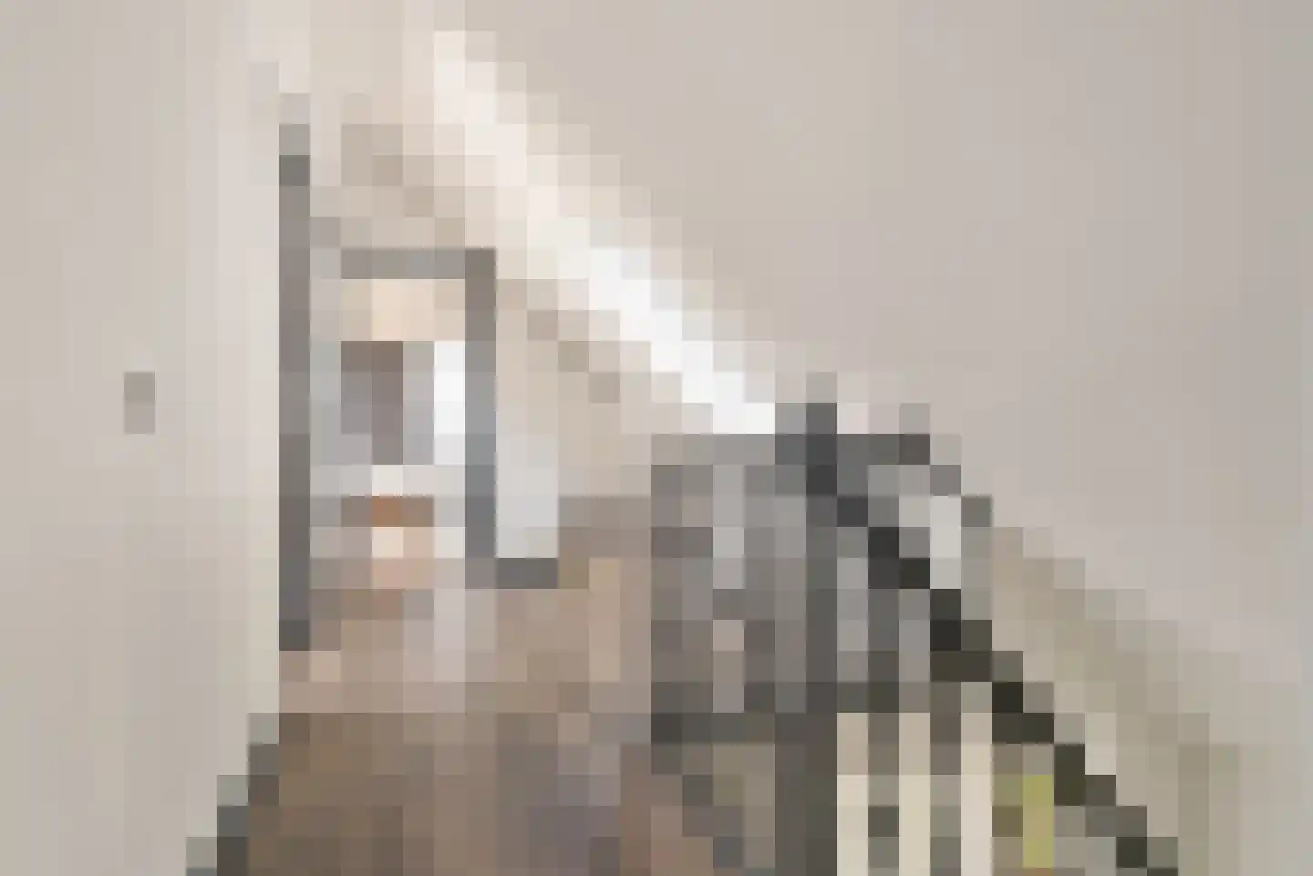't Haantje 63 't Haantje thumbnail 27