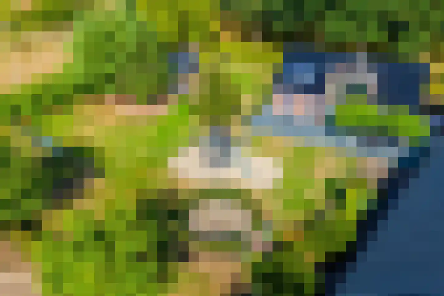 't Haantje 63 't Haantje foto 3