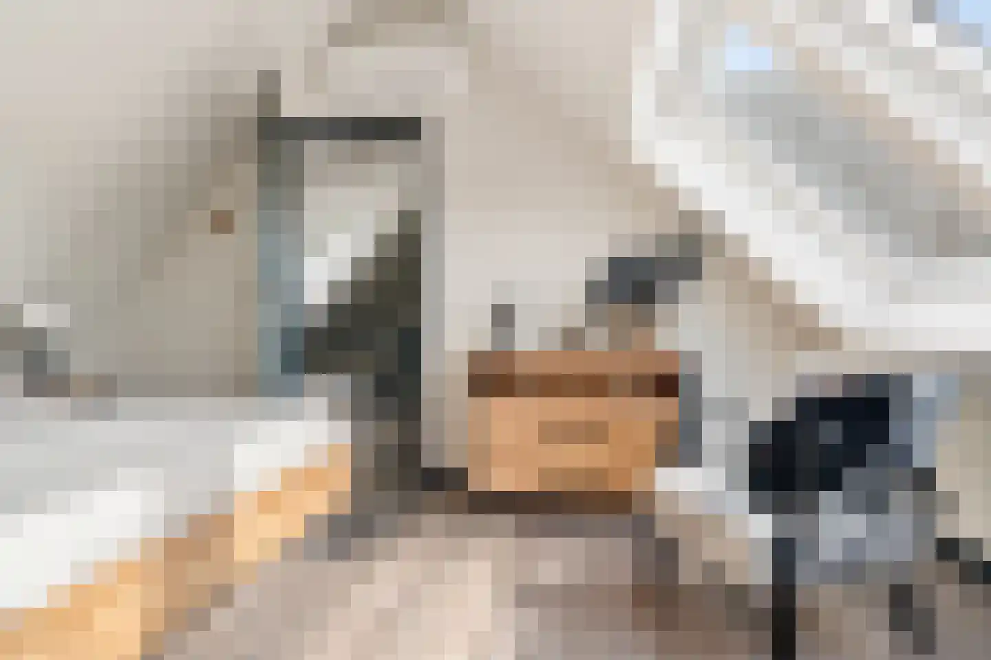't Haantje 63 't Haantje thumbnail 31