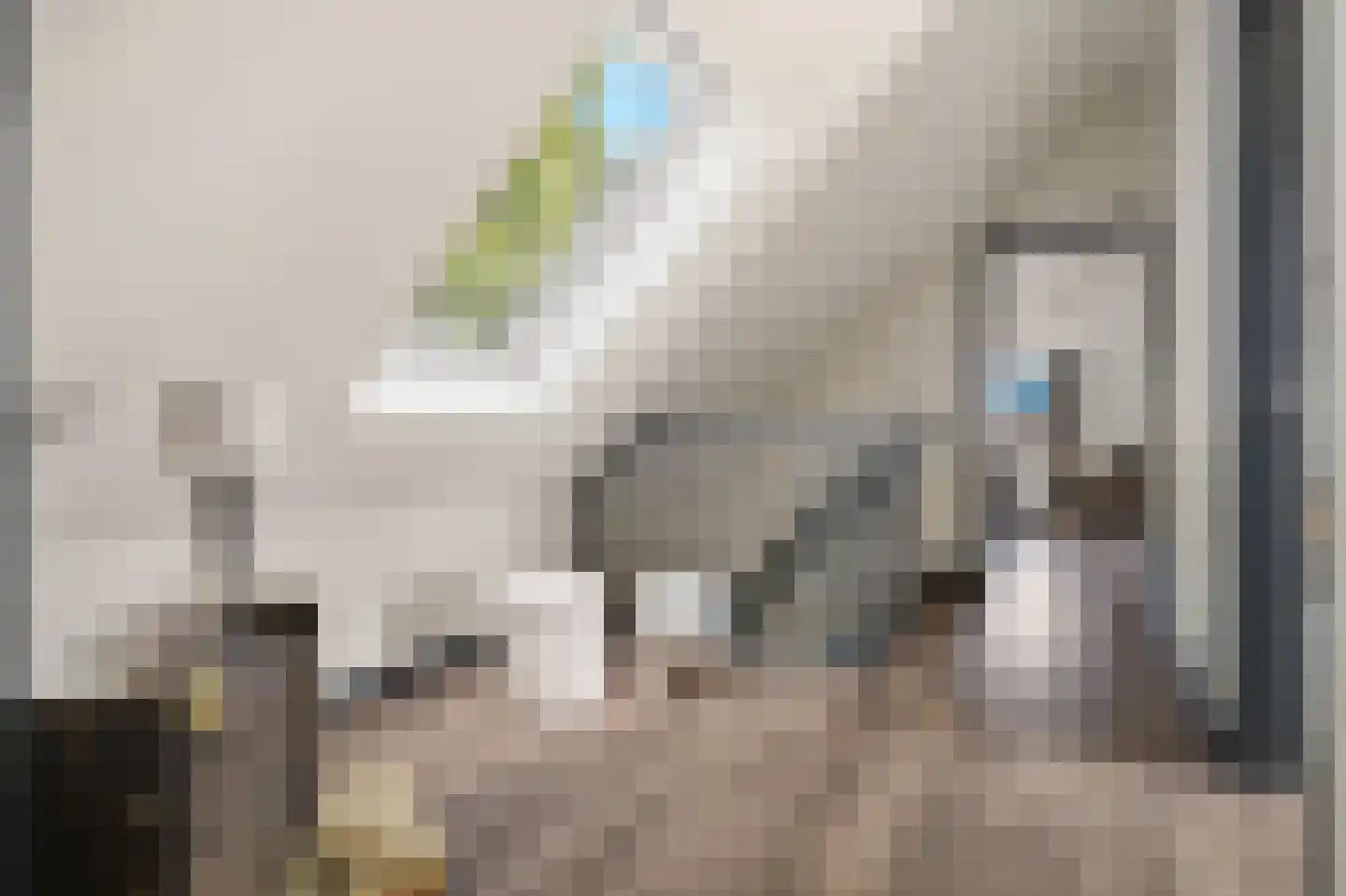 't Haantje 63 't Haantje thumbnail 32