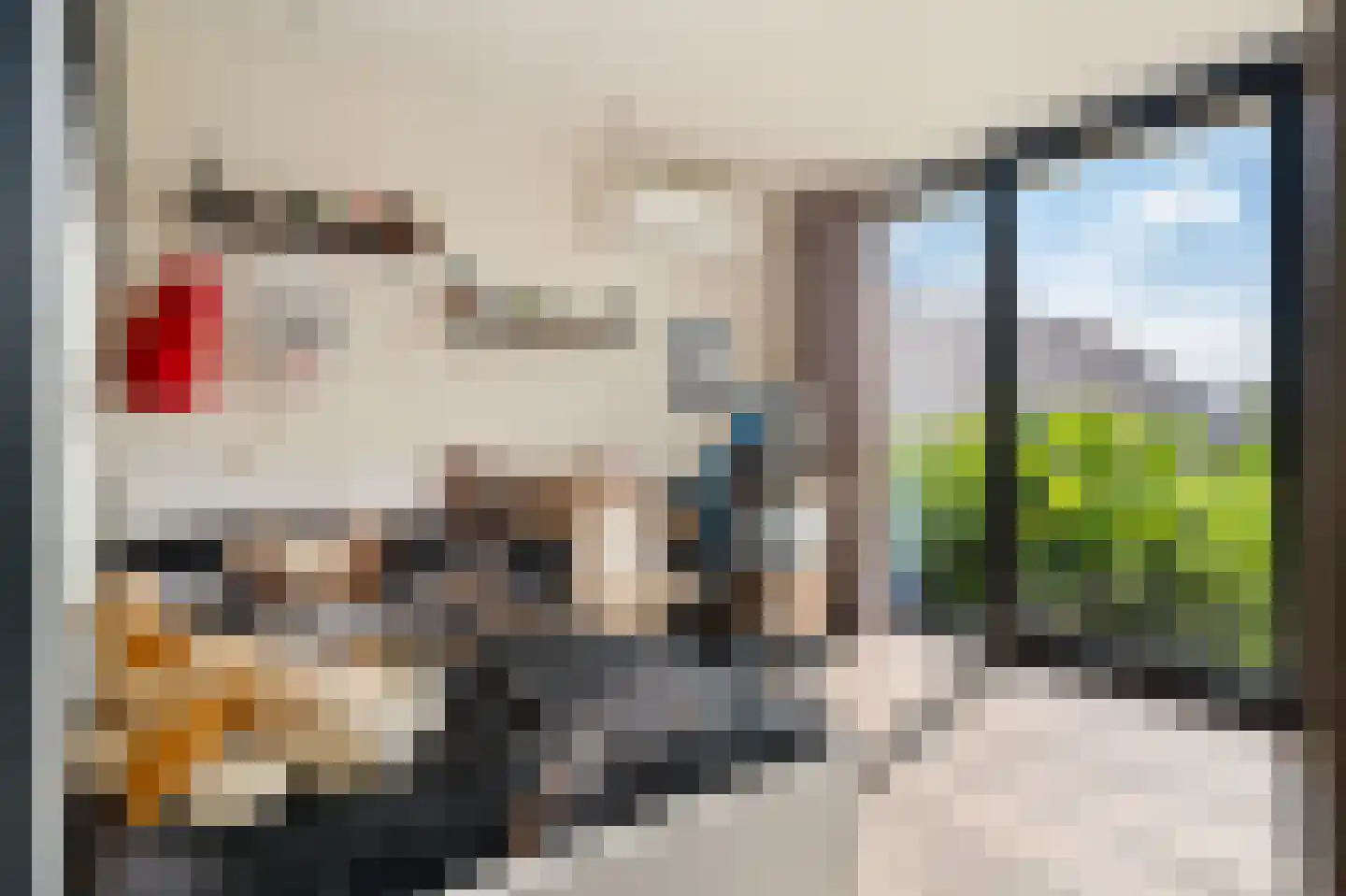 't Haantje 63 't Haantje thumbnail 33