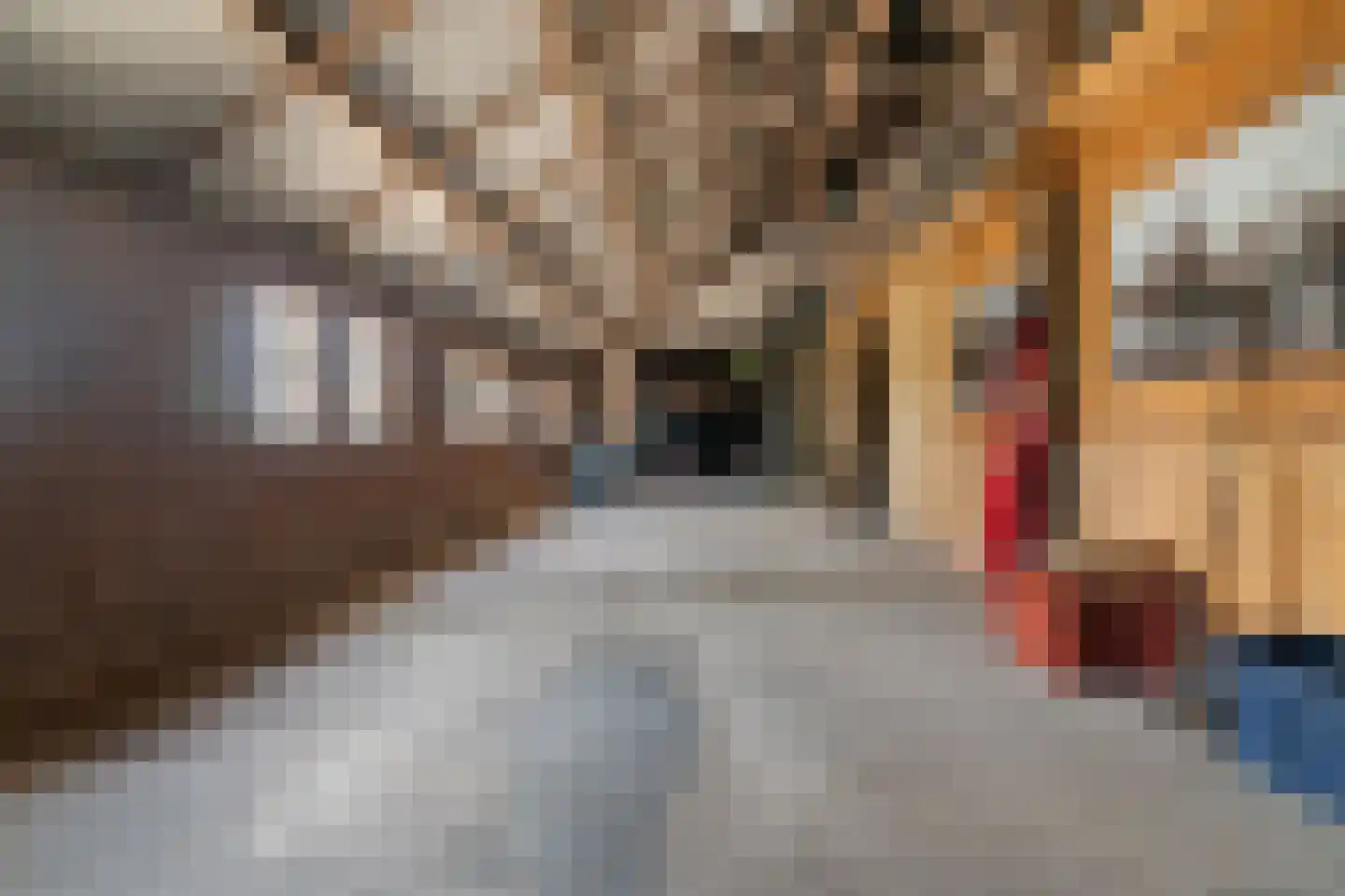 't Haantje 63 't Haantje thumbnail 37