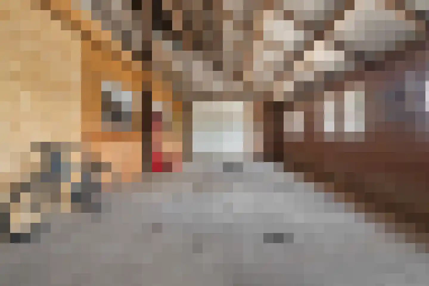 't Haantje 63 't Haantje thumbnail 38