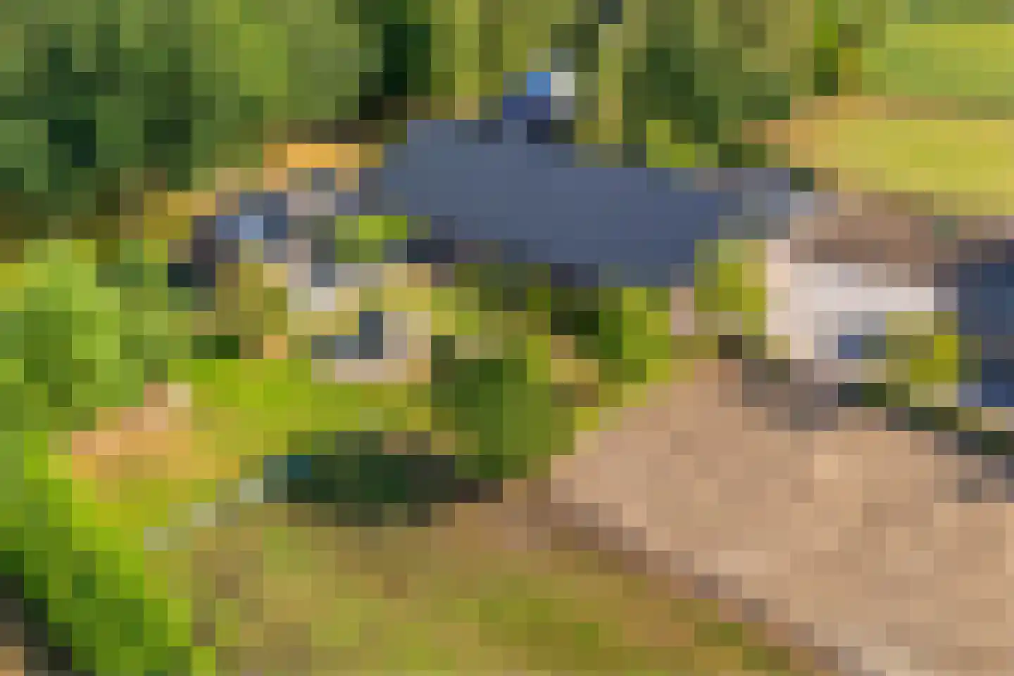 't Haantje 63 't Haantje thumbnail 4