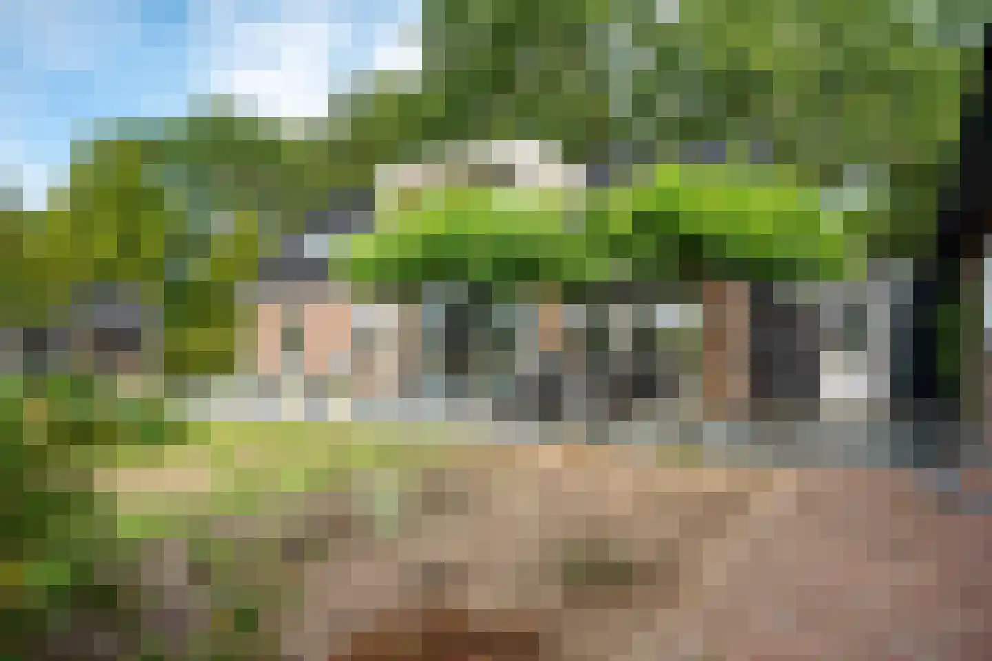 't Haantje 63 't Haantje thumbnail 42