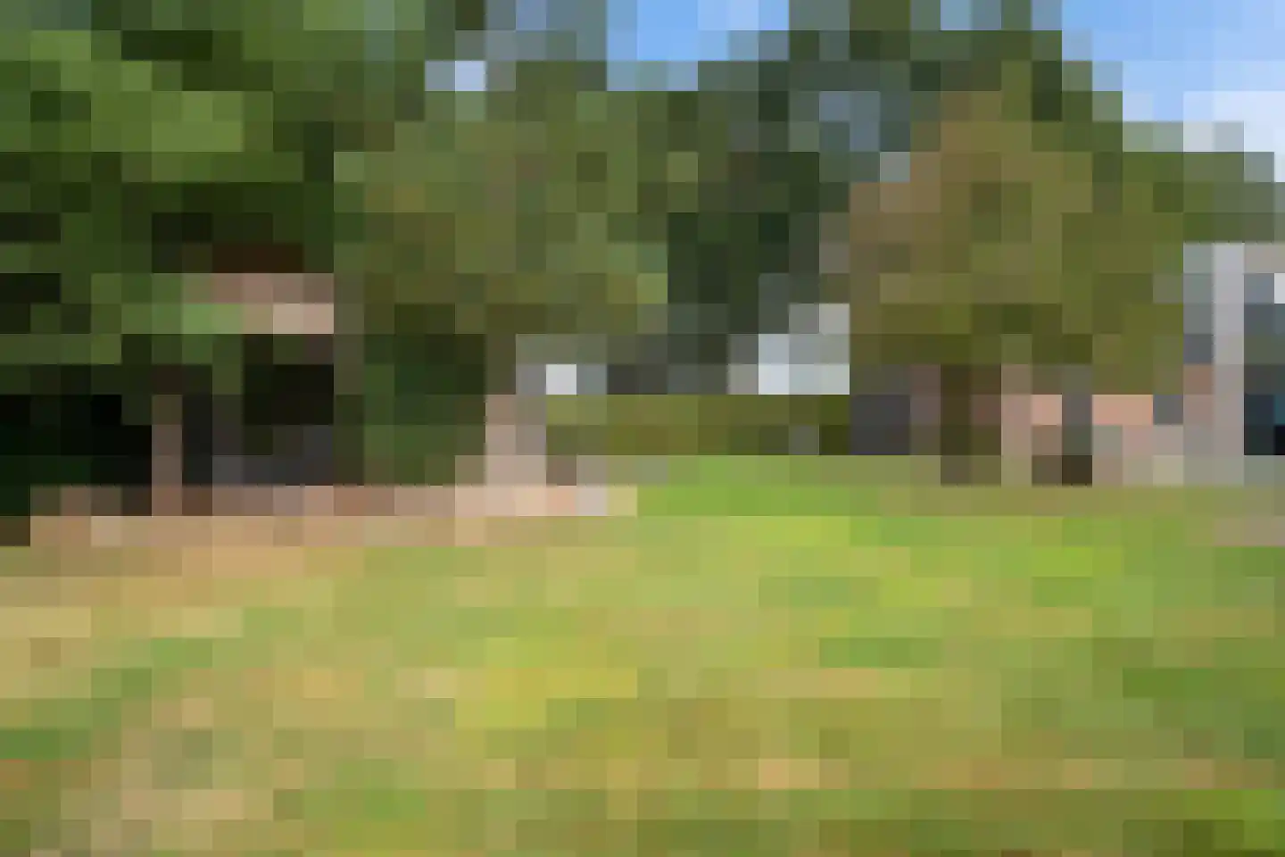 't Haantje 63 't Haantje thumbnail 47