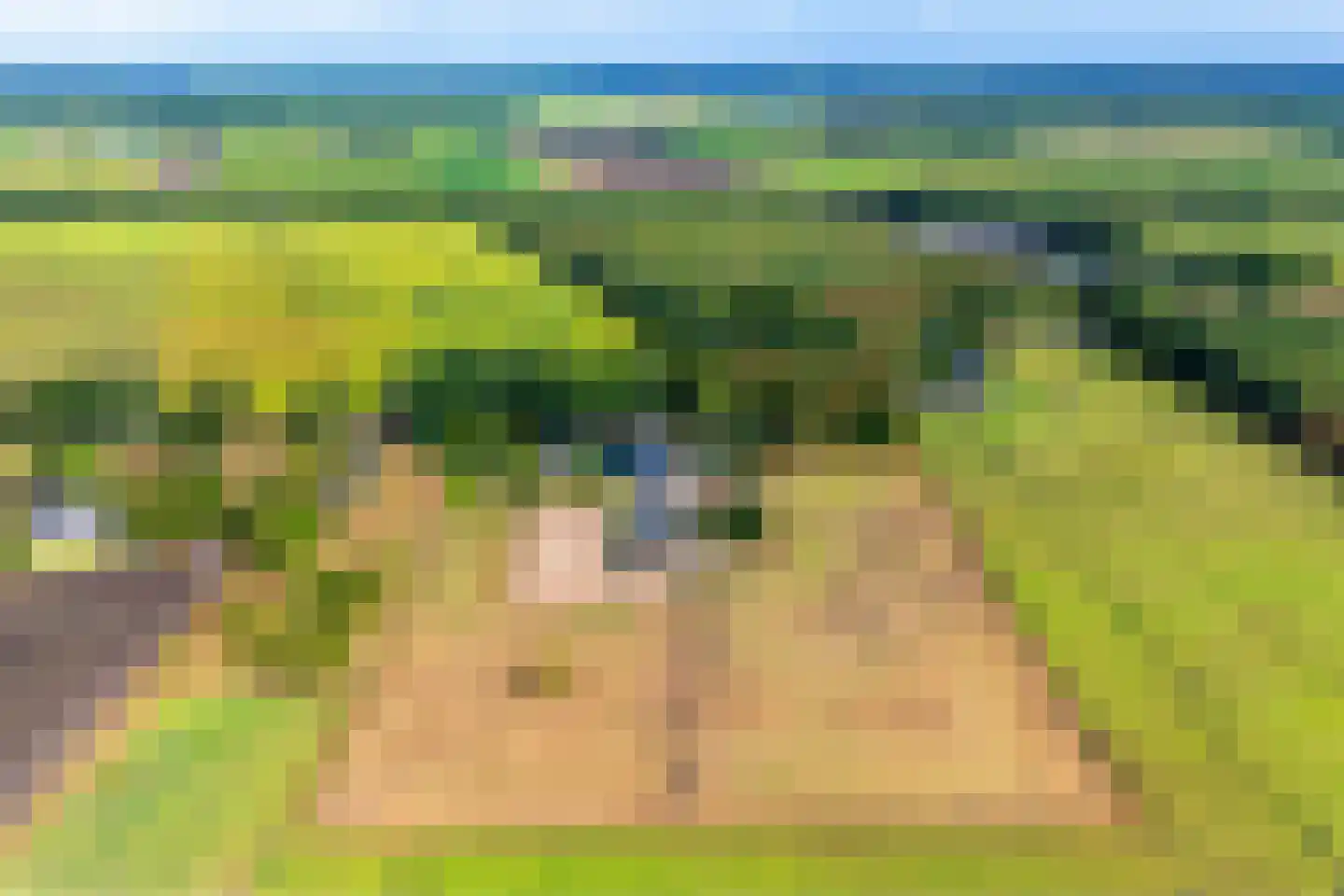 't Haantje 63 't Haantje thumbnail 5