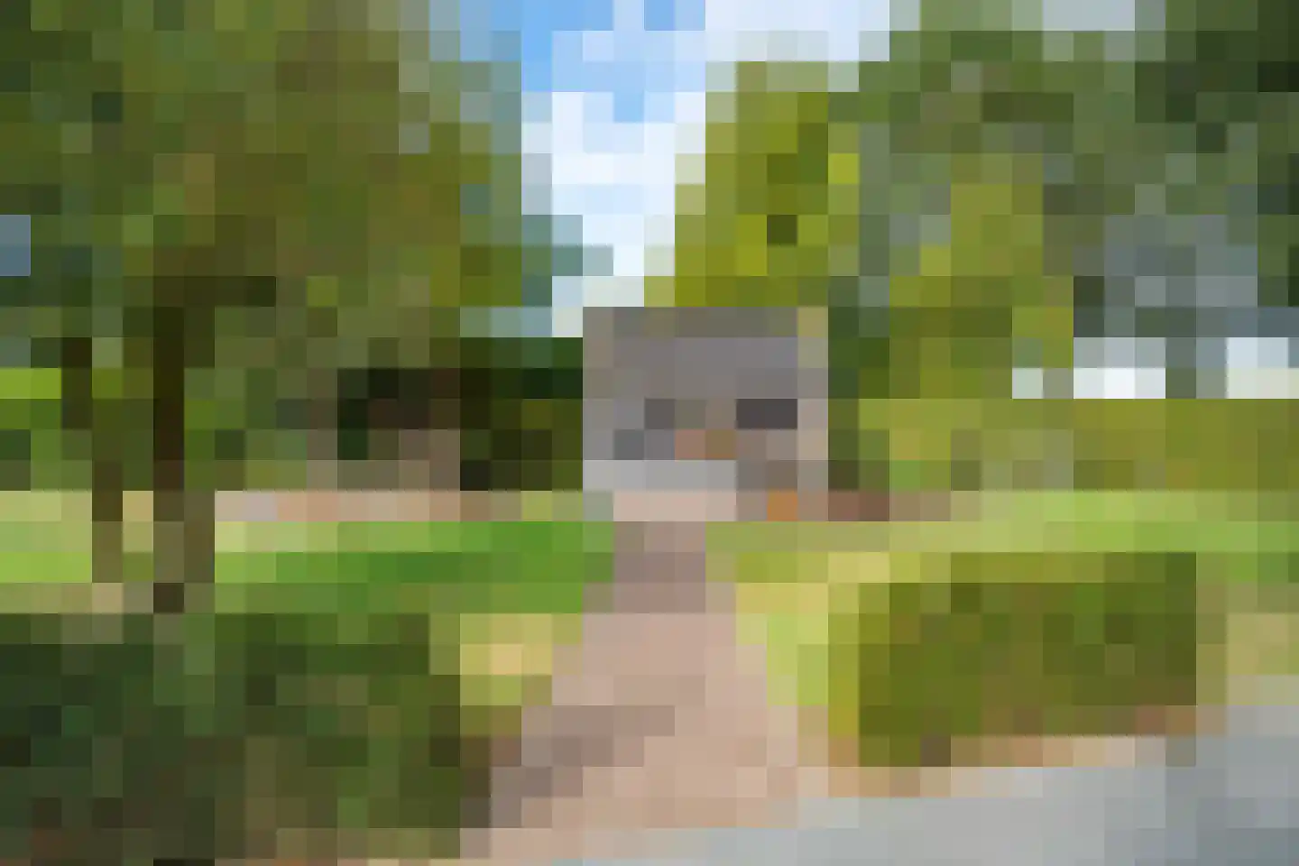 't Haantje 63 't Haantje thumbnail 50