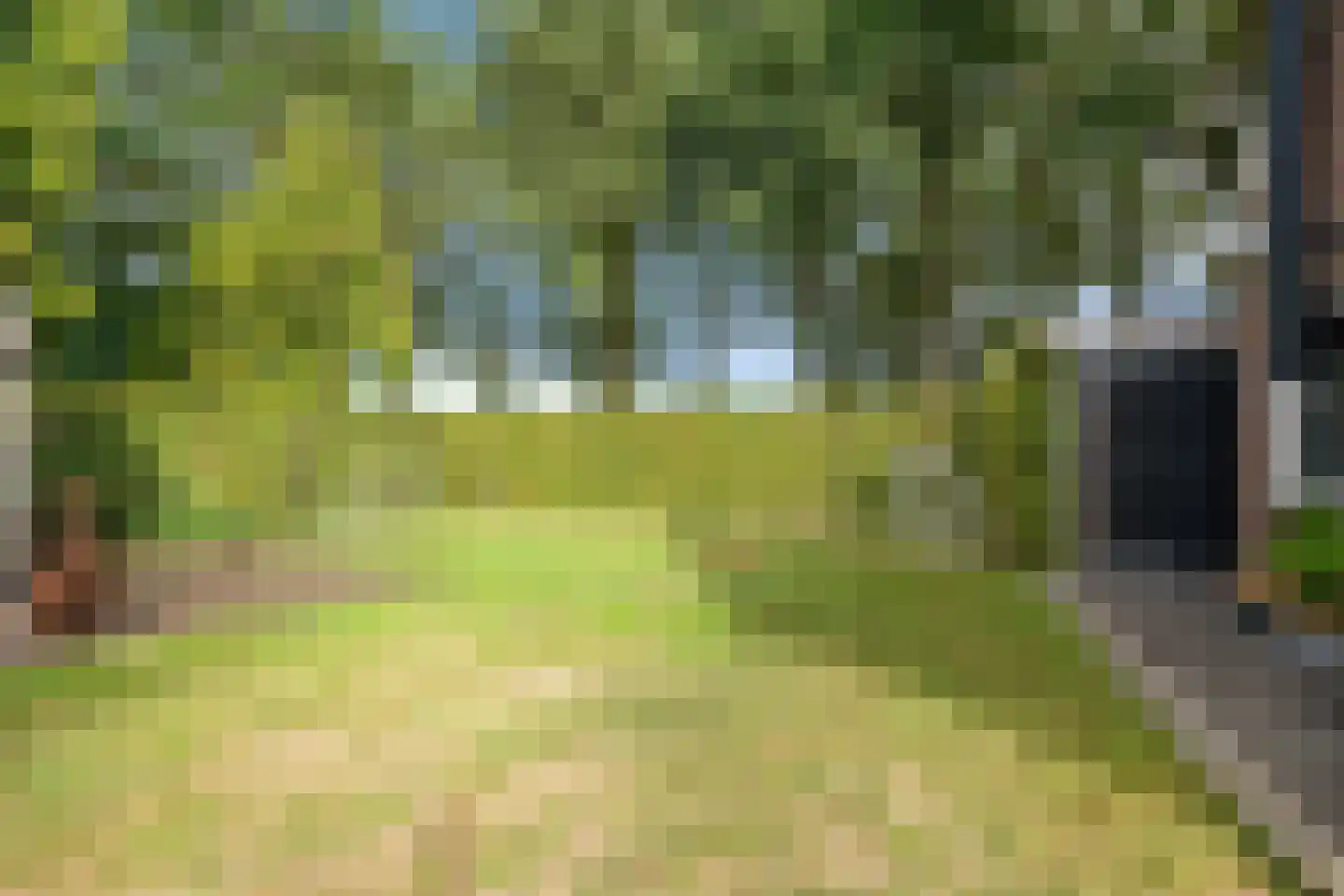 't Haantje 63 't Haantje thumbnail 51