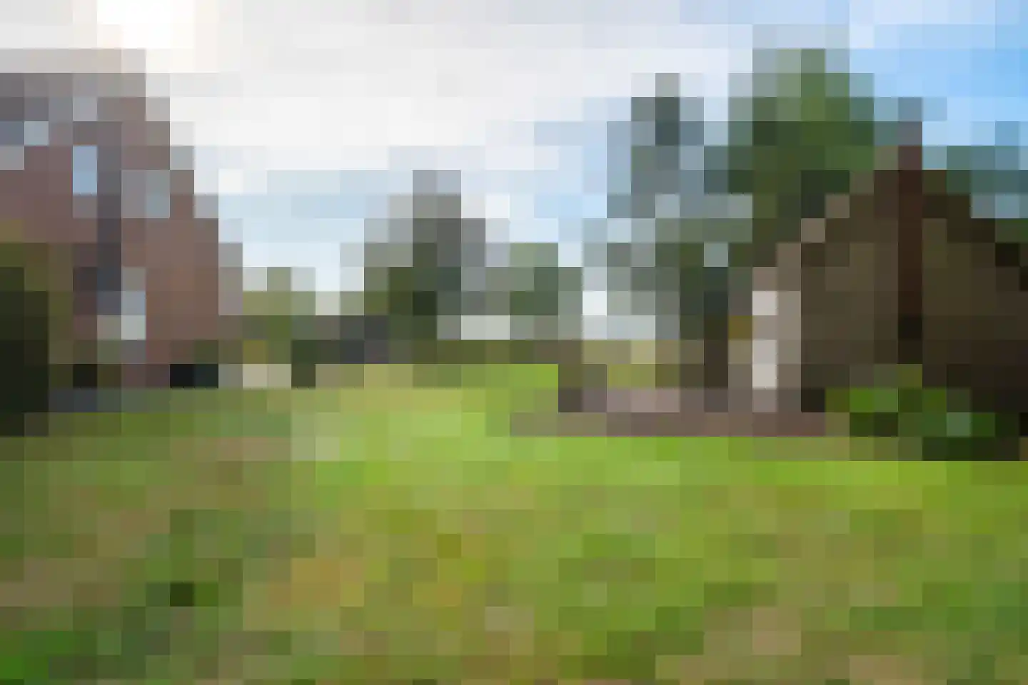 't Haantje 63 't Haantje thumbnail 52