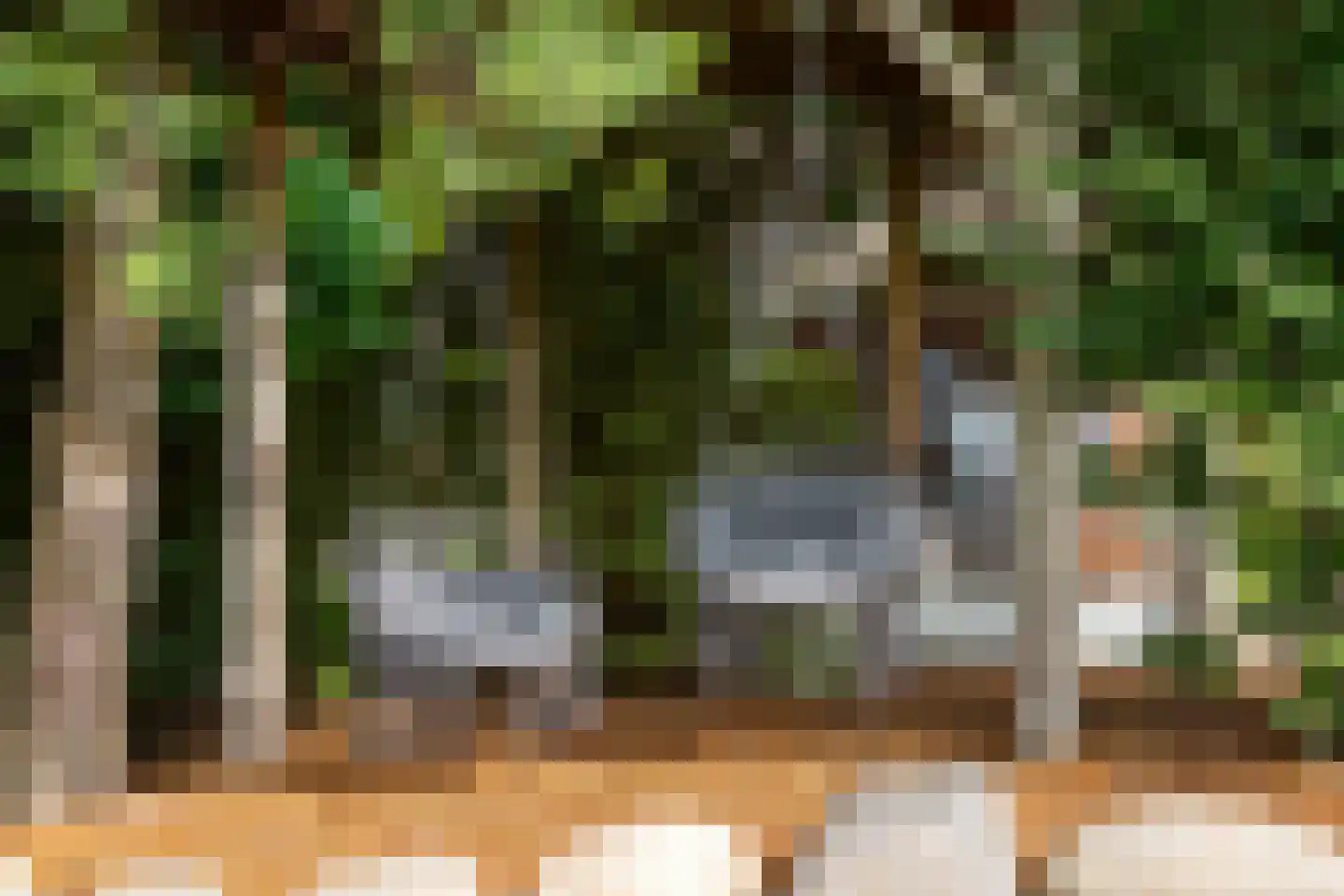 't Haantje 63 't Haantje thumbnail 54