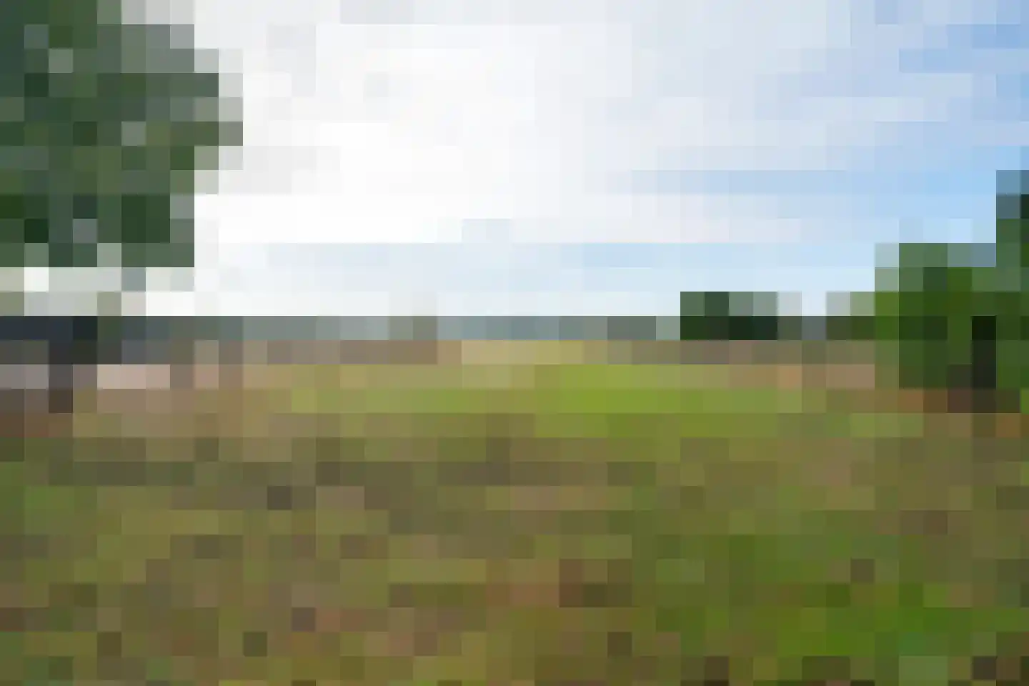 't Haantje 63 't Haantje thumbnail 57