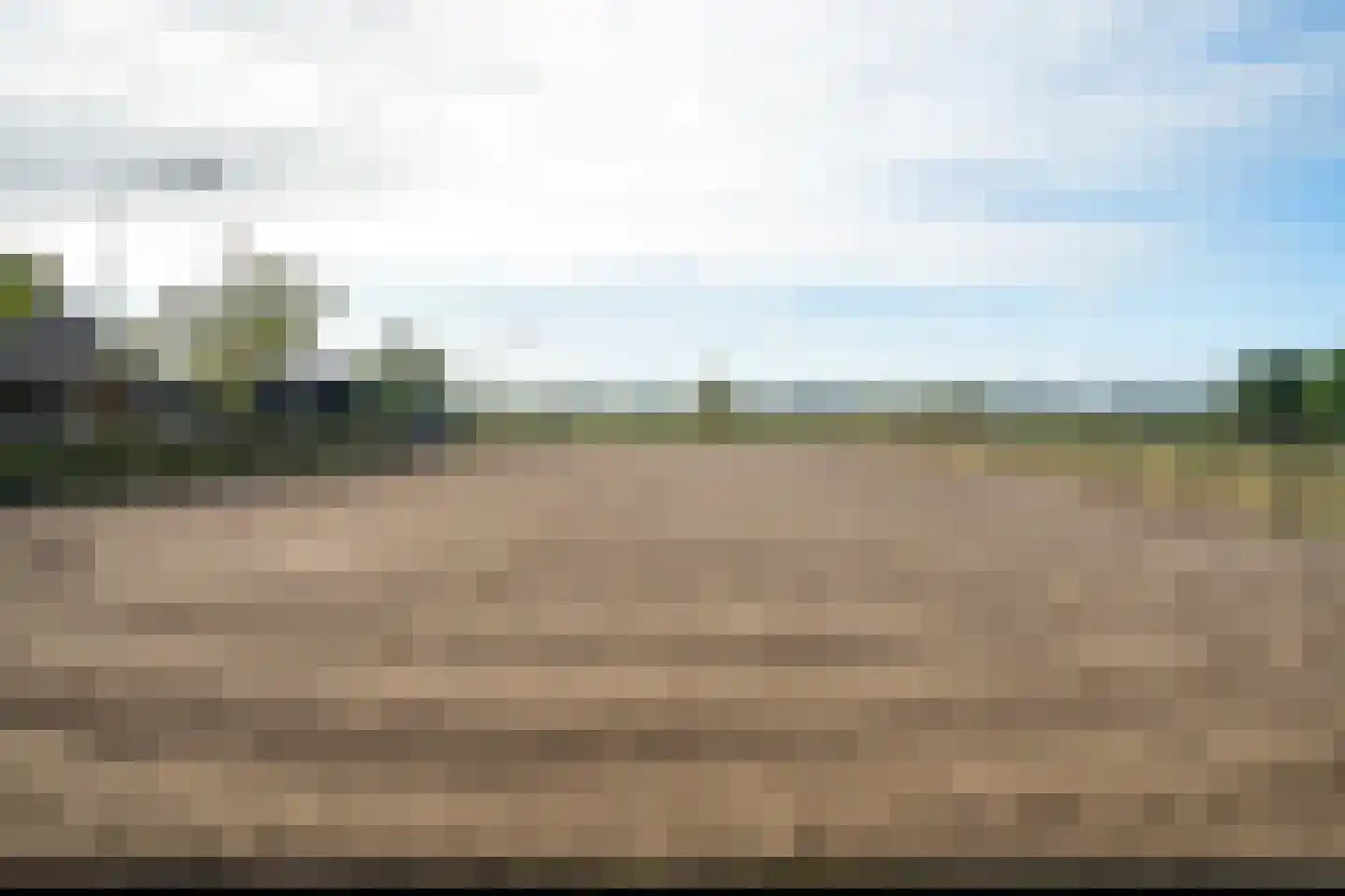 't Haantje 63 't Haantje thumbnail 59
