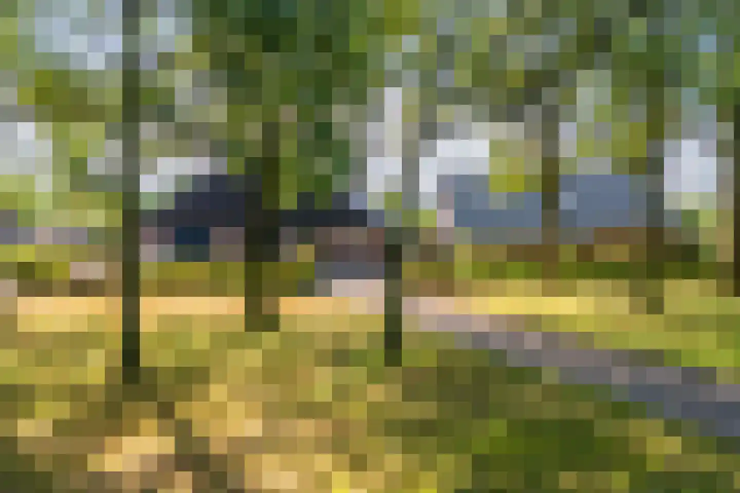 't Haantje 63 't Haantje thumbnail 6