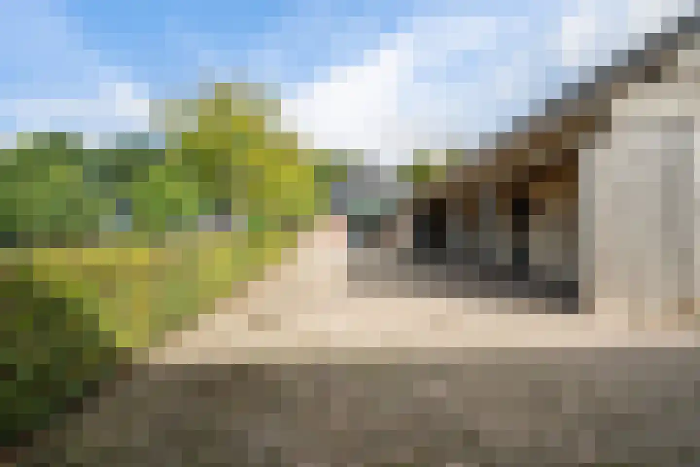 't Haantje 63 't Haantje thumbnail 62