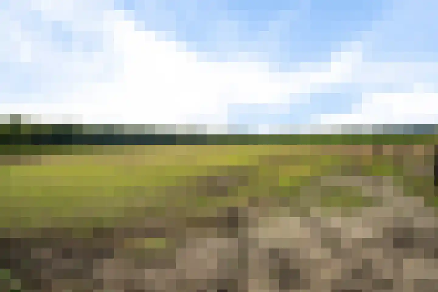 't Haantje 63 't Haantje thumbnail 63