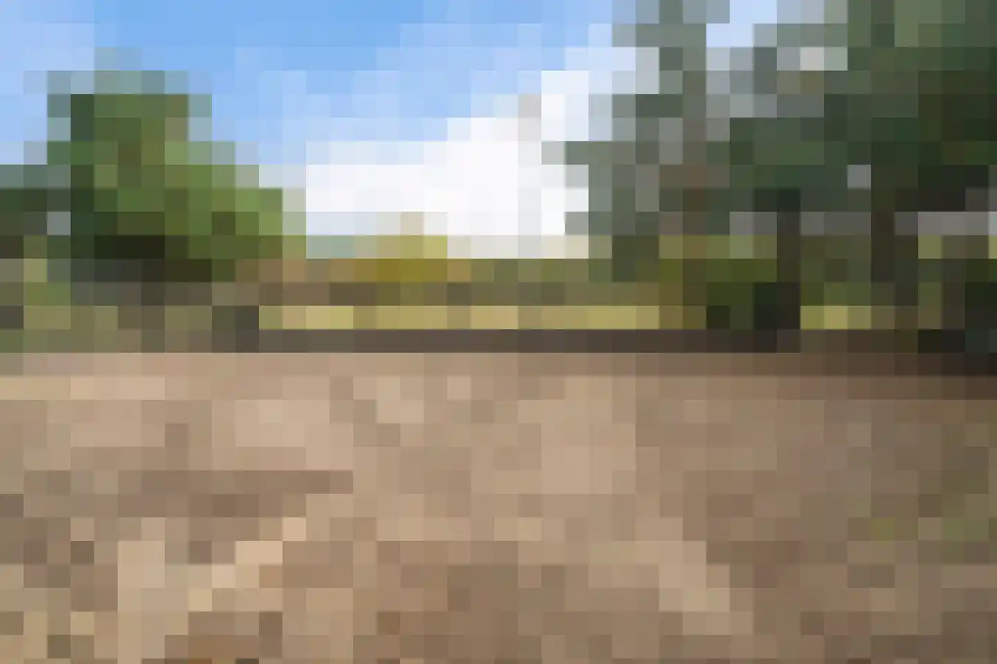't Haantje 63 't Haantje thumbnail 64