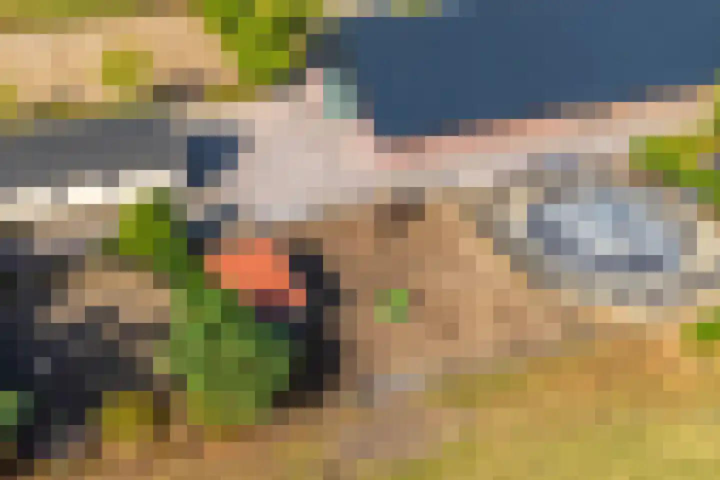 't Haantje 63 't Haantje thumbnail 69