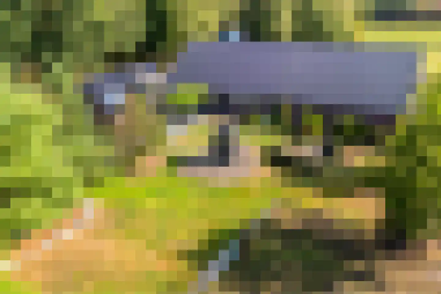 't Haantje 63 't Haantje thumbnail 70