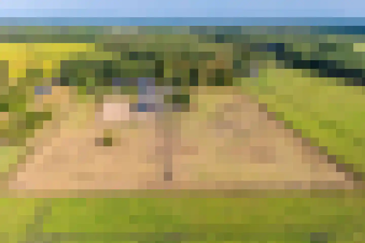 't Haantje 63 't Haantje thumbnail 72