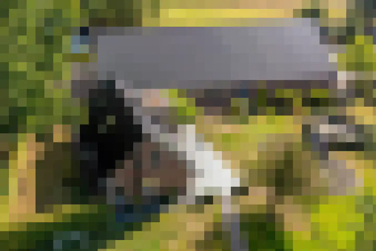 't Haantje 63 't Haantje thumbnail 73