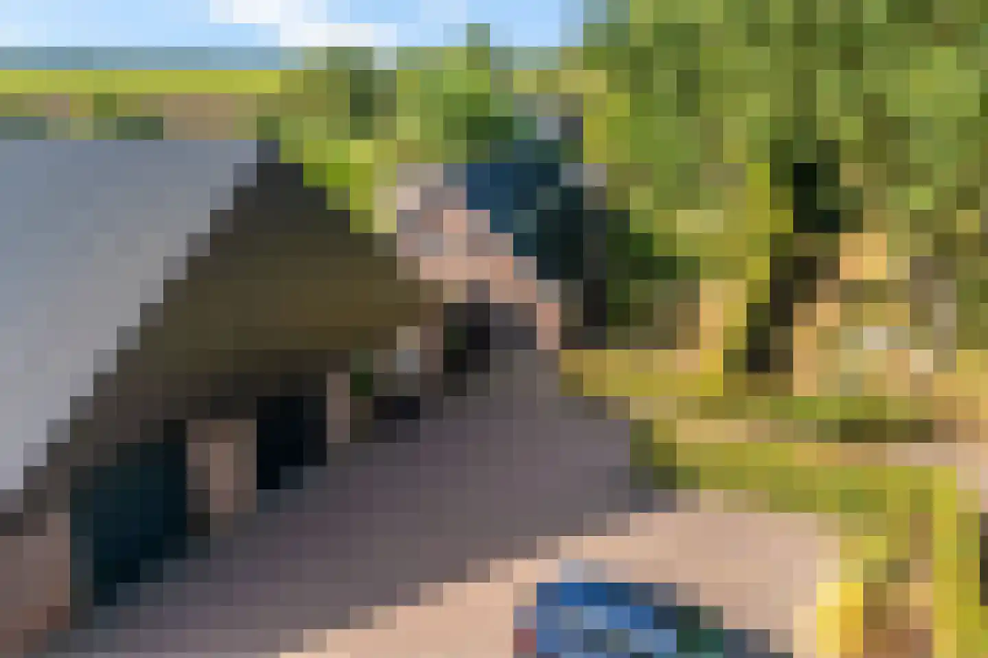 't Haantje 63 't Haantje thumbnail 74